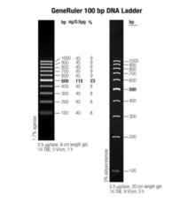 Маркер длин ДНК GeneRuler 100 bp, 10 фрагментов от 100 до 1000 п.н., 0,5 мкг/мкл, Thermo FS